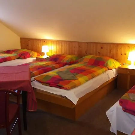 Gasthuis Penzion Villa Janské Lázně