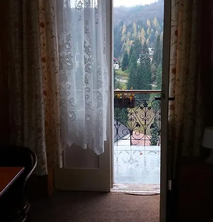 Gasthuis Penzion Villa Janské Lázně